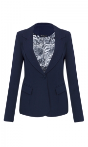 Look Blazer Azul Feminino