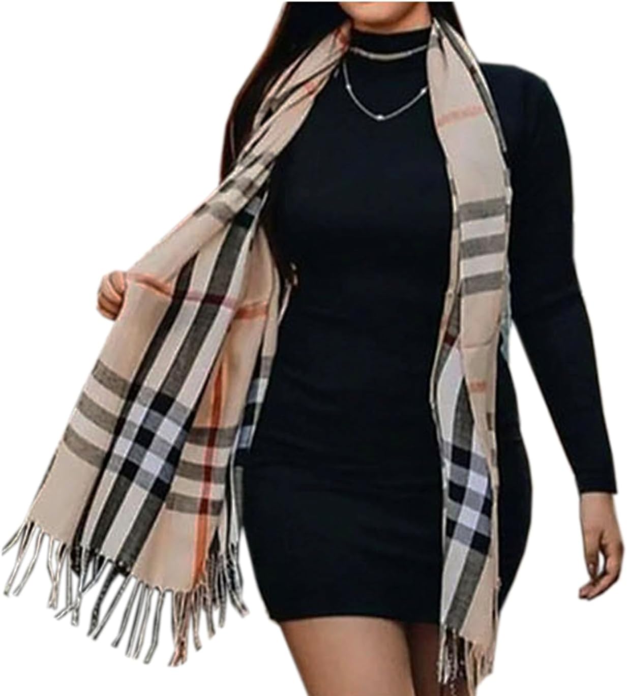 looks com pashmina Feminino